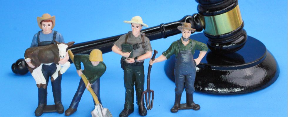 Derecho laboral en Medellín: evita sanciones y gestiona tus obligaciones